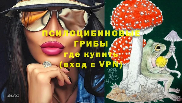 spice Алексин