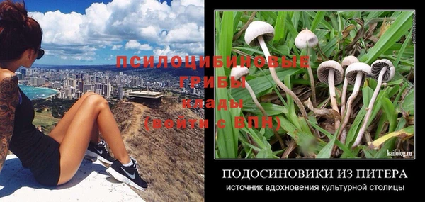 ALPHA PVP Алзамай
