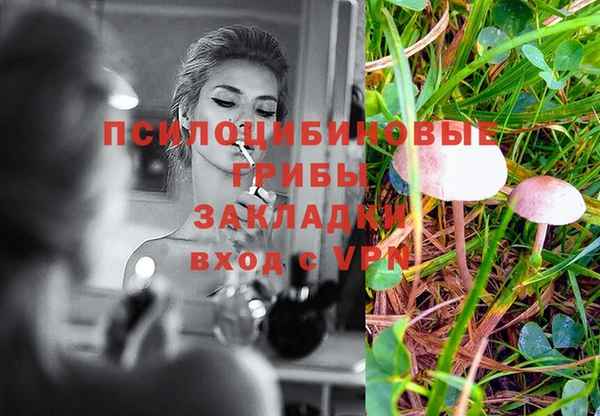spice Алексин
