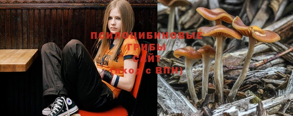 spice Алексин