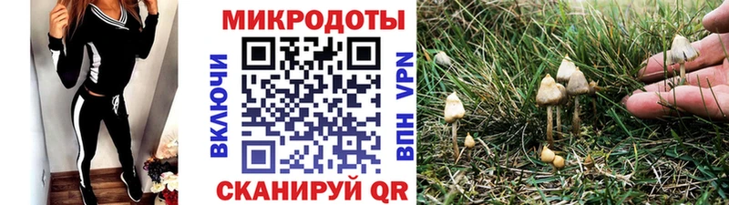 OMG как зайти  Островной  Галлюциногенные грибы мицелий  купить закладку 
