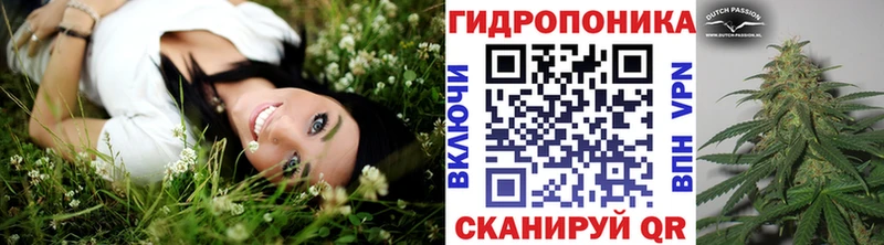 KRAKEN сайт  Островной  Шишки марихуана SATIVA & INDICA 