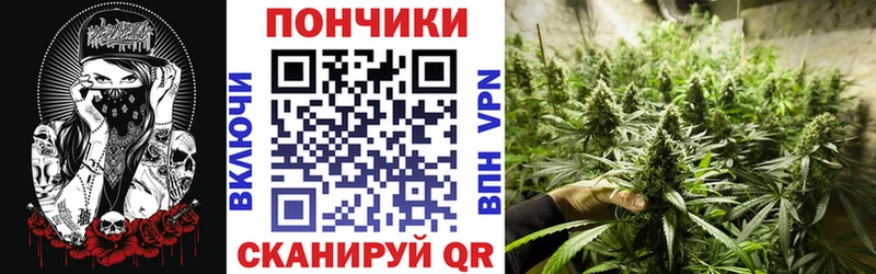 Бошки Шишки Amnesia Островной